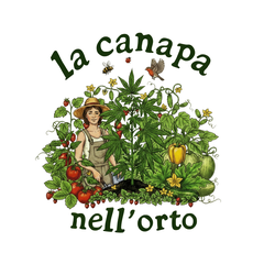 La canapa nell'orto
